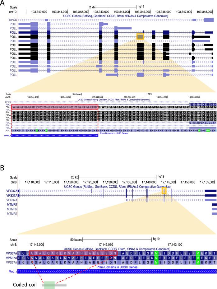 https://cdn.ncbi.nlm.nih.gov/pmc/blobs/621d/11187070/5e469be93a5e/41598_2024_65035_Fig2_HTML.jpg