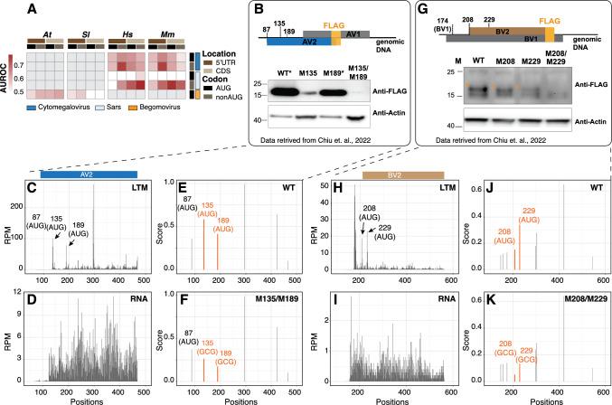 https://cdn.ncbi.nlm.nih.gov/pmc/blobs/621e/12316744/700a6364c639/11103_2025_1632_Fig4_HTML.jpg