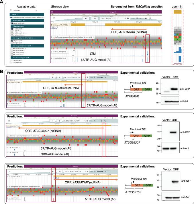 https://cdn.ncbi.nlm.nih.gov/pmc/blobs/621e/12316744/93187814c21d/11103_2025_1632_Fig5_HTML.jpg