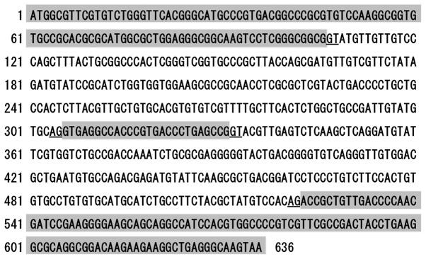 https://cdn.ncbi.nlm.nih.gov/pmc/blobs/621f/4501640/83d20acb2035/IJMM-36-02-0369-g01.jpg