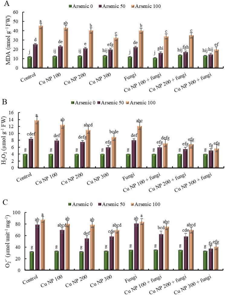 https://cdn.ncbi.nlm.nih.gov/pmc/blobs/6220/11245830/69dd7e36cc28/12870_2024_5359_Fig5_HTML.jpg