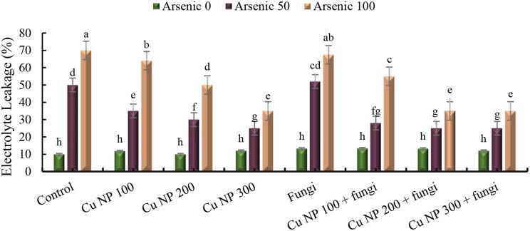 https://cdn.ncbi.nlm.nih.gov/pmc/blobs/6220/11245830/daedcce776da/12870_2024_5359_Fig6_HTML.jpg