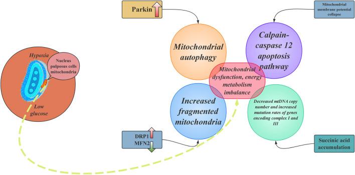 https://cdn.ncbi.nlm.nih.gov/pmc/blobs/6220/12391112/2c57845c2912/fbioe-13-1643222-g002.jpg