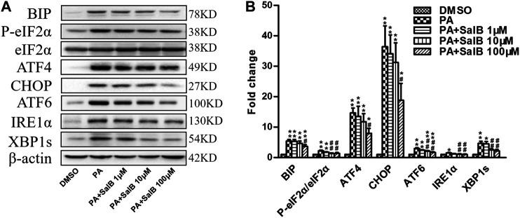 https://cdn.ncbi.nlm.nih.gov/pmc/blobs/6220/7770132/25b4dc568ccf/fphar-11-574229-g005.jpg