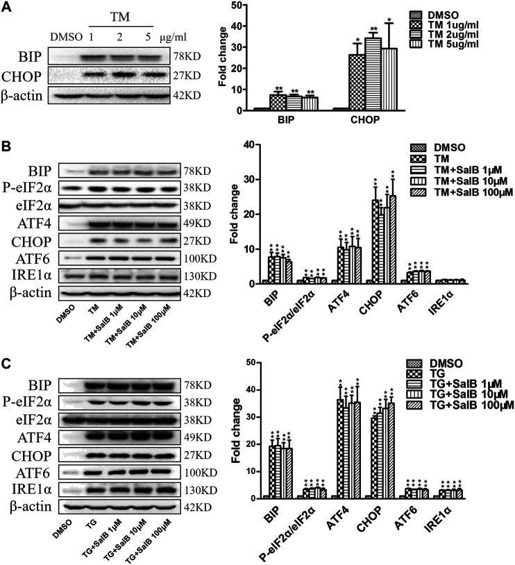 https://cdn.ncbi.nlm.nih.gov/pmc/blobs/6220/7770132/388769c4bbd6/fphar-11-574229-g006.jpg
