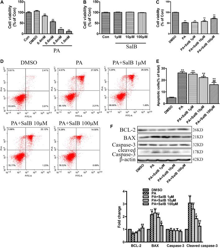 https://cdn.ncbi.nlm.nih.gov/pmc/blobs/6220/7770132/687ee47263d5/fphar-11-574229-g004.jpg