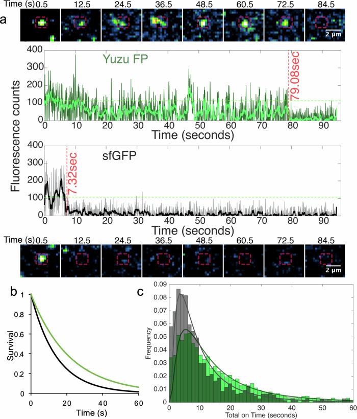 https://cdn.ncbi.nlm.nih.gov/pmc/blobs/6223/12141695/b35f7486b1d7/42004_2025_1573_Fig2_HTML.jpg