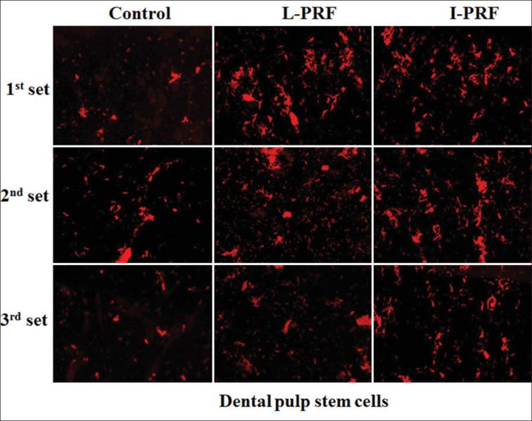 https://cdn.ncbi.nlm.nih.gov/pmc/blobs/6224/11451693/a5a6da43a6ff/JCDE-27-853-g002.jpg