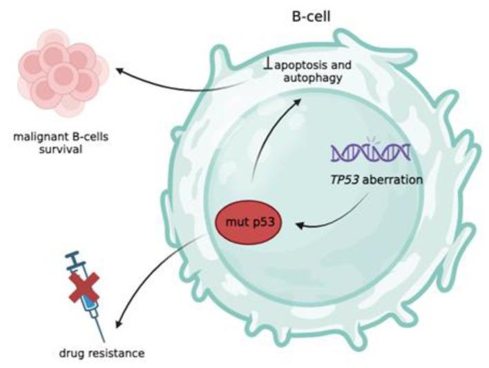 https://cdn.ncbi.nlm.nih.gov/pmc/blobs/6225/12046366/e312a271917c/MBRC-14-179-g002.jpg