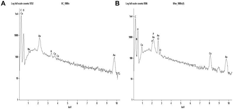 https://cdn.ncbi.nlm.nih.gov/pmc/blobs/6225/3906302/72763a39da6a/pone.0087968.g005.jpg