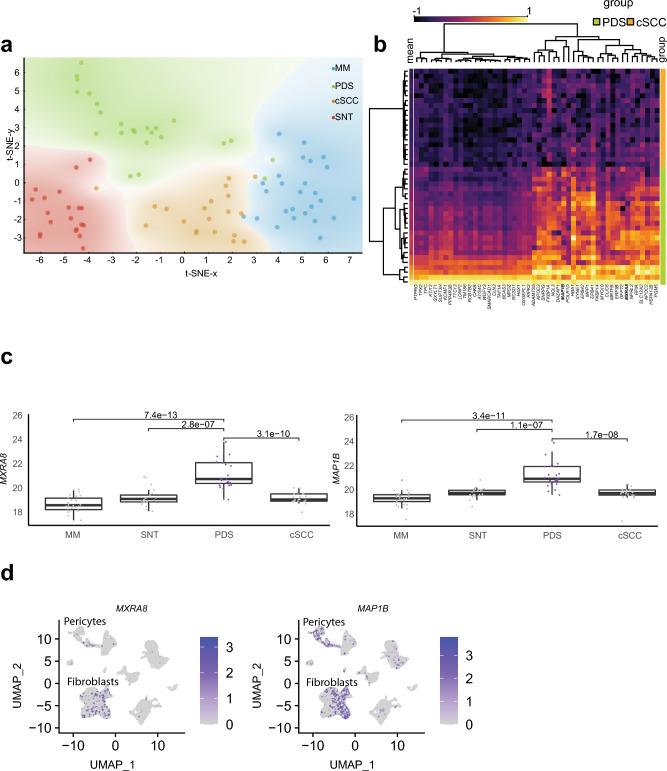 https://cdn.ncbi.nlm.nih.gov/pmc/blobs/6226/11143252/69475dc100a6/41598_2024_62927_Fig3_HTML.jpg