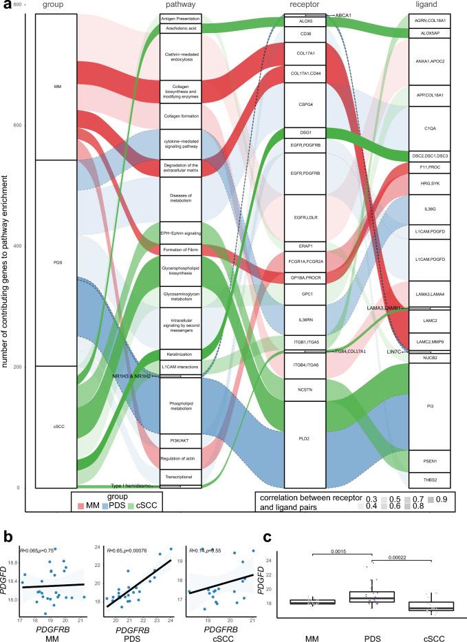 https://cdn.ncbi.nlm.nih.gov/pmc/blobs/6226/11143252/6c1ccc403c0c/41598_2024_62927_Fig2_HTML.jpg