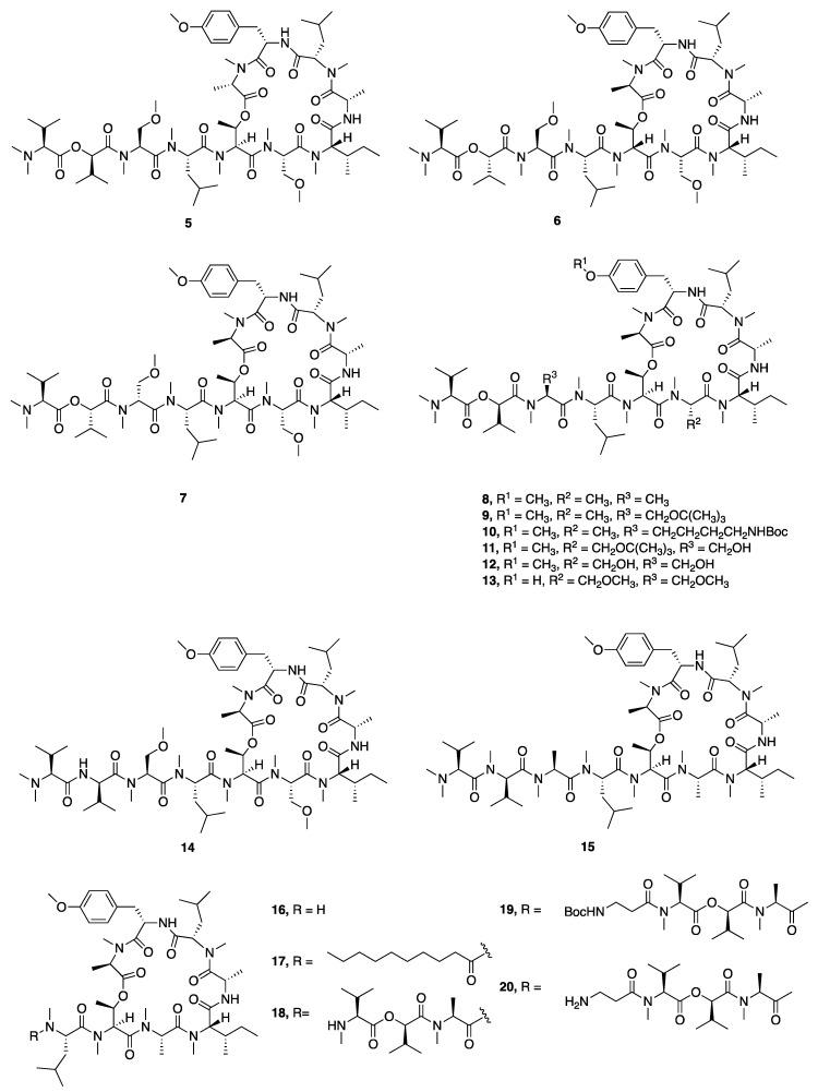 https://cdn.ncbi.nlm.nih.gov/pmc/blobs/6226/7600079/3234cf49cd05/marinedrugs-18-00508-g002.jpg