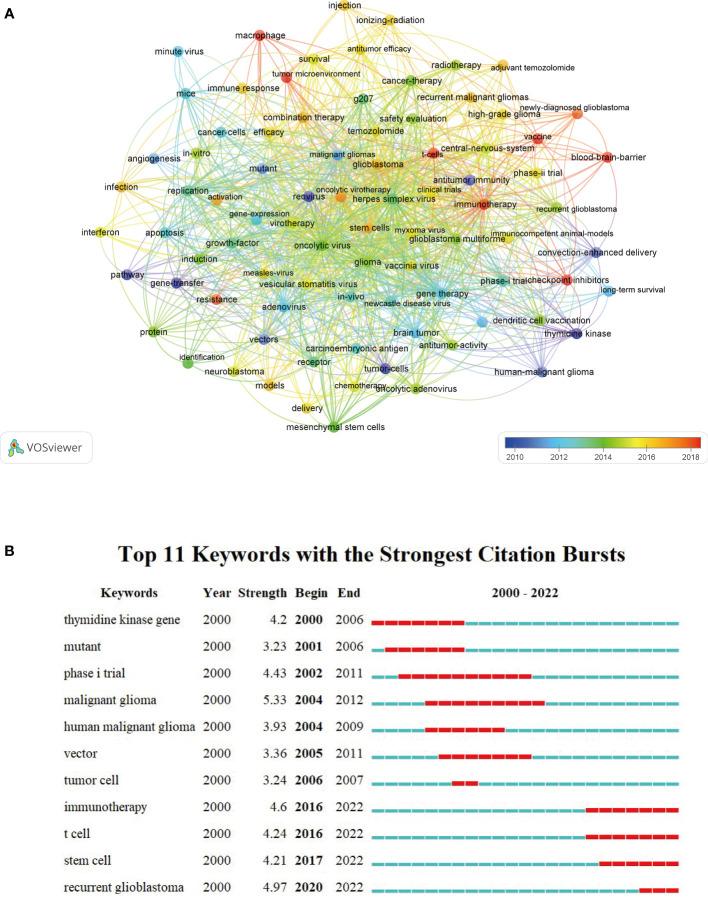 https://cdn.ncbi.nlm.nih.gov/pmc/blobs/6226/9486718/df82f56b38f3/fimmu-13-975695-g010.jpg