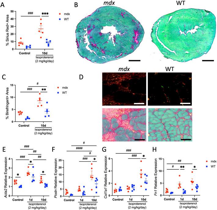 https://cdn.ncbi.nlm.nih.gov/pmc/blobs/6227/11488649/71606b67d1c2/dmm-17-050852-g4.jpg