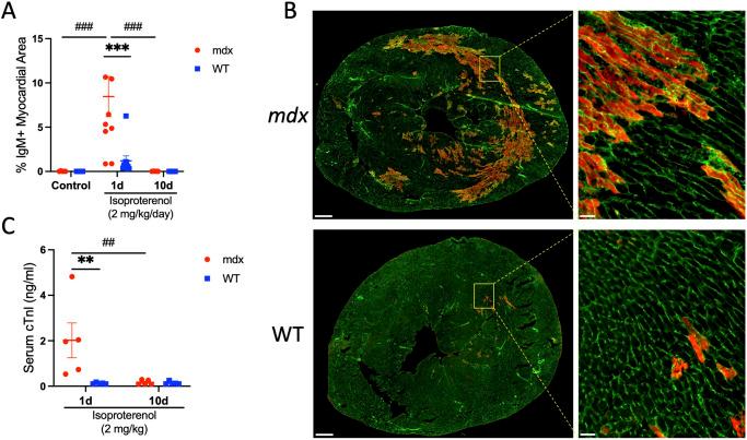 https://cdn.ncbi.nlm.nih.gov/pmc/blobs/6227/11488649/7ebae11be697/dmm-17-050852-g2.jpg