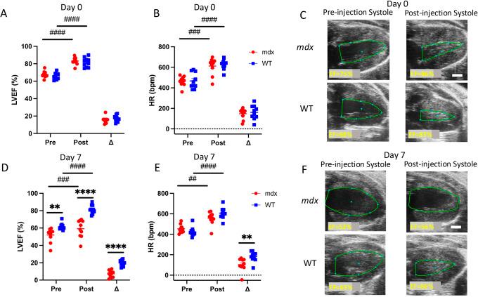 https://cdn.ncbi.nlm.nih.gov/pmc/blobs/6227/11488649/a5cacc509425/dmm-17-050852-g6.jpg