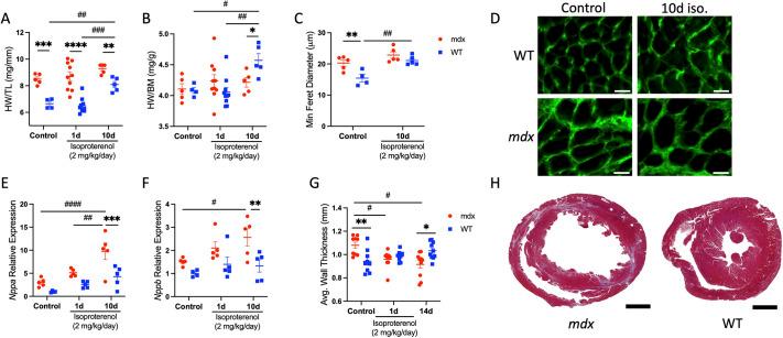 https://cdn.ncbi.nlm.nih.gov/pmc/blobs/6227/11488649/b4a602f477b7/dmm-17-050852-g3.jpg