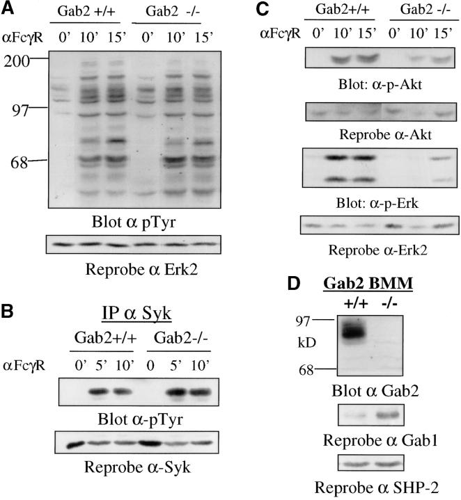https://cdn.ncbi.nlm.nih.gov/pmc/blobs/6229/2172986/f7e624e16f40/200212158f2ad.jpg