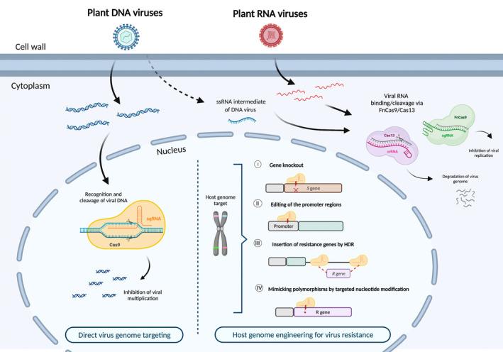 https://cdn.ncbi.nlm.nih.gov/pmc/blobs/6229/9562834/8321d5b85827/MPP-23-1701-g003.jpg