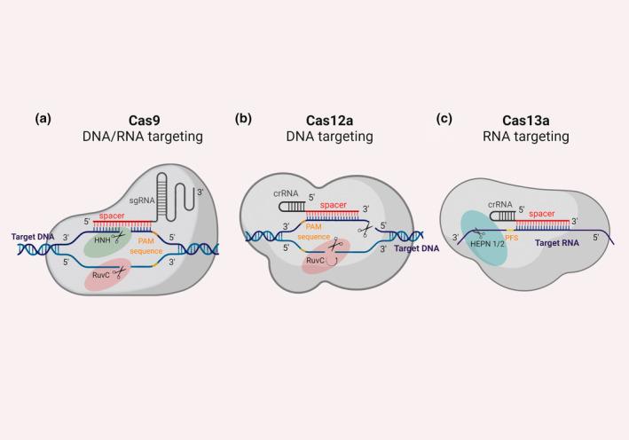 https://cdn.ncbi.nlm.nih.gov/pmc/blobs/6229/9562834/e158ae94fe22/MPP-23-1701-g004.jpg