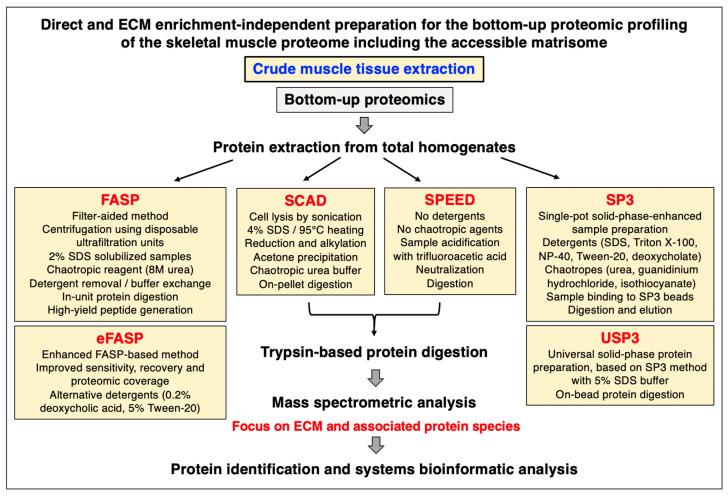 https://cdn.ncbi.nlm.nih.gov/pmc/blobs/622b/10377647/a567e58026b9/biomolecules-13-01108-g001.jpg