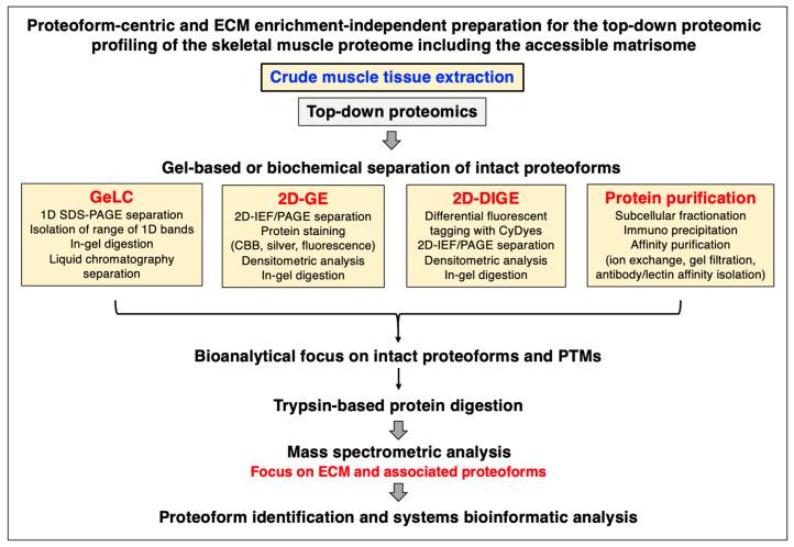 https://cdn.ncbi.nlm.nih.gov/pmc/blobs/622b/10377647/aefbd8efbe9f/biomolecules-13-01108-g002.jpg