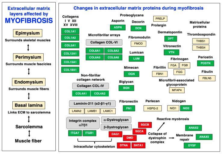 https://cdn.ncbi.nlm.nih.gov/pmc/blobs/622b/10377647/f5406592673f/biomolecules-13-01108-g009.jpg