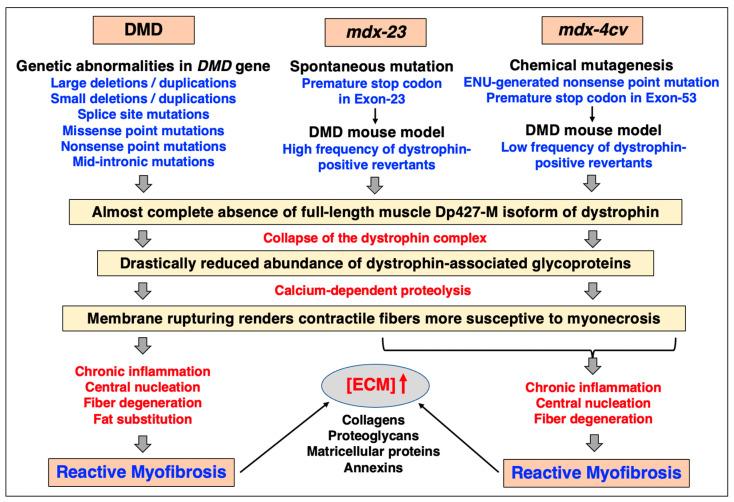 https://cdn.ncbi.nlm.nih.gov/pmc/blobs/622b/10377647/ffaa17d11ead/biomolecules-13-01108-g006.jpg