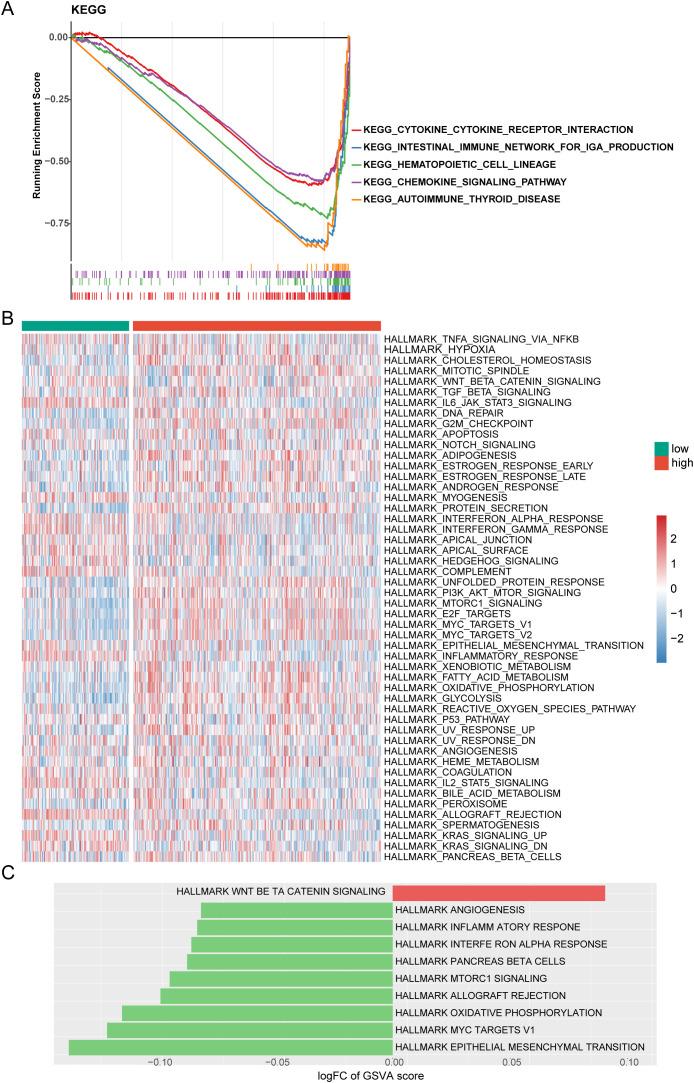 https://cdn.ncbi.nlm.nih.gov/pmc/blobs/622d/12380818/17df98ceeaf1/fimmu-16-1596179-g007.jpg