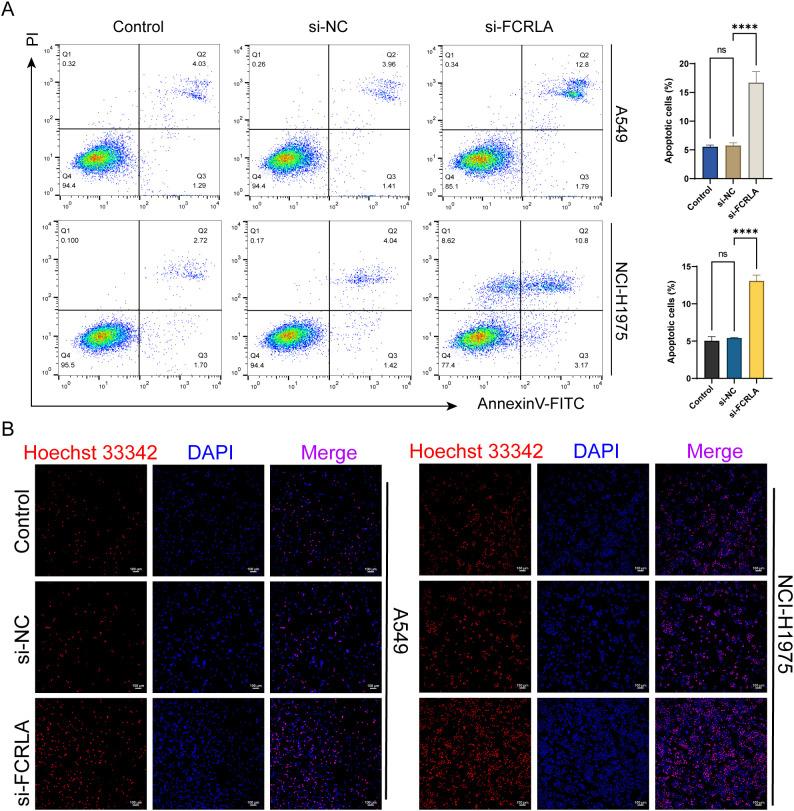 https://cdn.ncbi.nlm.nih.gov/pmc/blobs/622d/12380818/8882caa0f863/fimmu-16-1596179-g010.jpg
