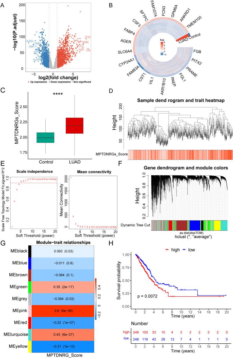 https://cdn.ncbi.nlm.nih.gov/pmc/blobs/622d/12380818/ba916dae4eb7/fimmu-16-1596179-g001.jpg