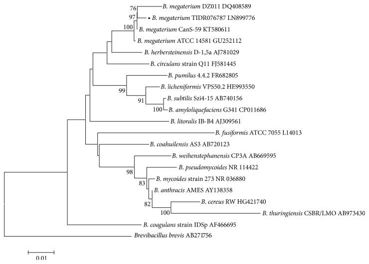 https://cdn.ncbi.nlm.nih.gov/pmc/blobs/622d/5346375/5f6dd5c2bc7d/CRIID2017-2578082.001.jpg