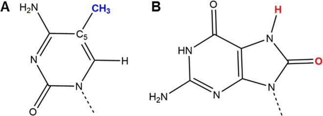https://cdn.ncbi.nlm.nih.gov/pmc/blobs/622d/6237784/2c11115d5aa8/gky893fig1.jpg