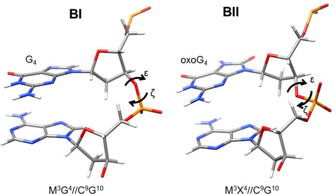 https://cdn.ncbi.nlm.nih.gov/pmc/blobs/622d/6237784/6e393cc860c0/gky893fig3.jpg