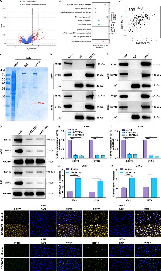 https://cdn.ncbi.nlm.nih.gov/pmc/blobs/622e/11302107/98576fc44cab/40164_2024_546_Fig3_HTML.jpg