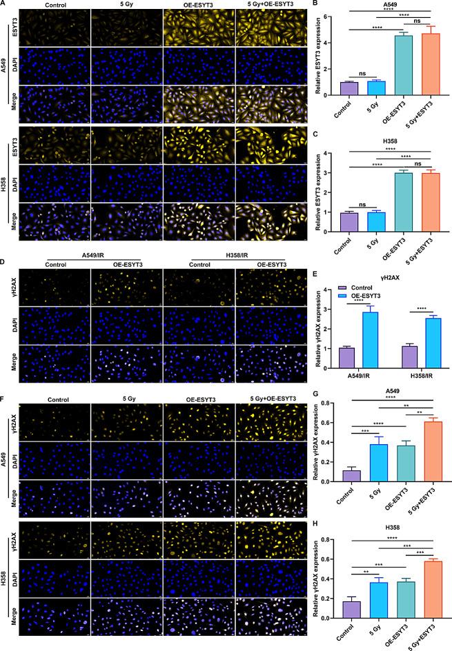 https://cdn.ncbi.nlm.nih.gov/pmc/blobs/622e/11302107/b2cda618475f/40164_2024_546_Fig2_HTML.jpg