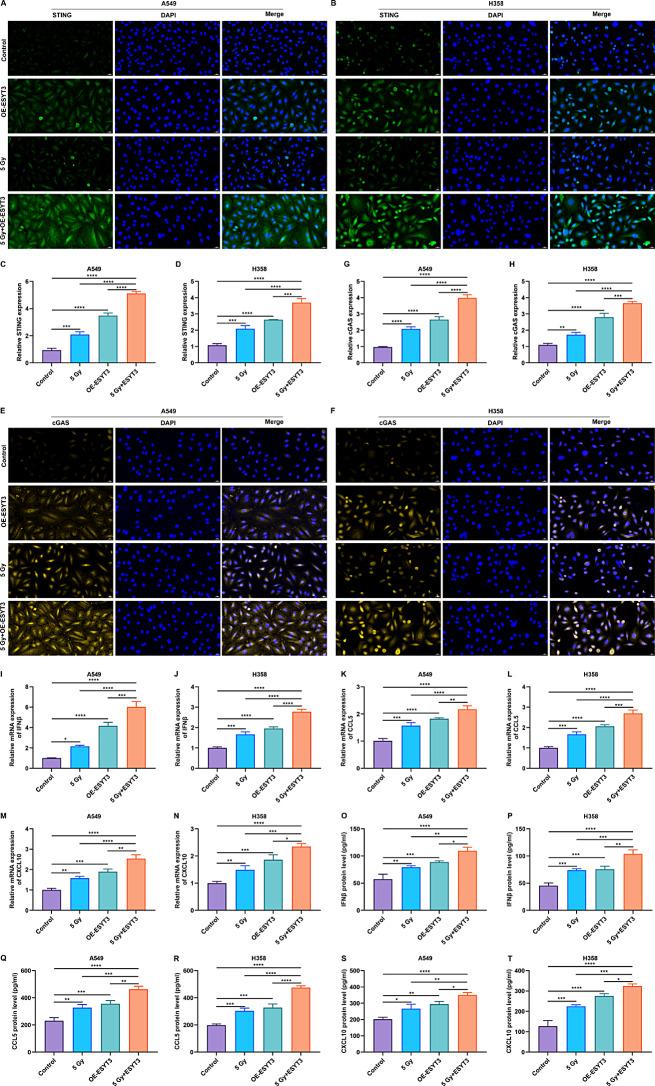 https://cdn.ncbi.nlm.nih.gov/pmc/blobs/622e/11302107/db76f4905bc2/40164_2024_546_Fig6_HTML.jpg