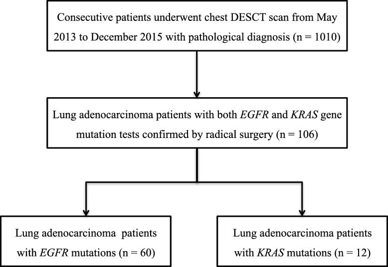 https://cdn.ncbi.nlm.nih.gov/pmc/blobs/6231/6884869/2fe83fe0ec83/40644_2019_261_Fig1_HTML.jpg