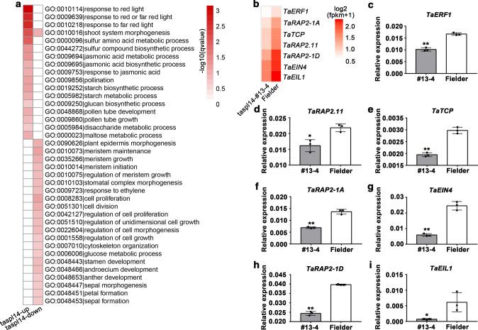 https://cdn.ncbi.nlm.nih.gov/pmc/blobs/6232/7822796/3d21c1b78ebd/425_2020_3531_Fig3_HTML.jpg