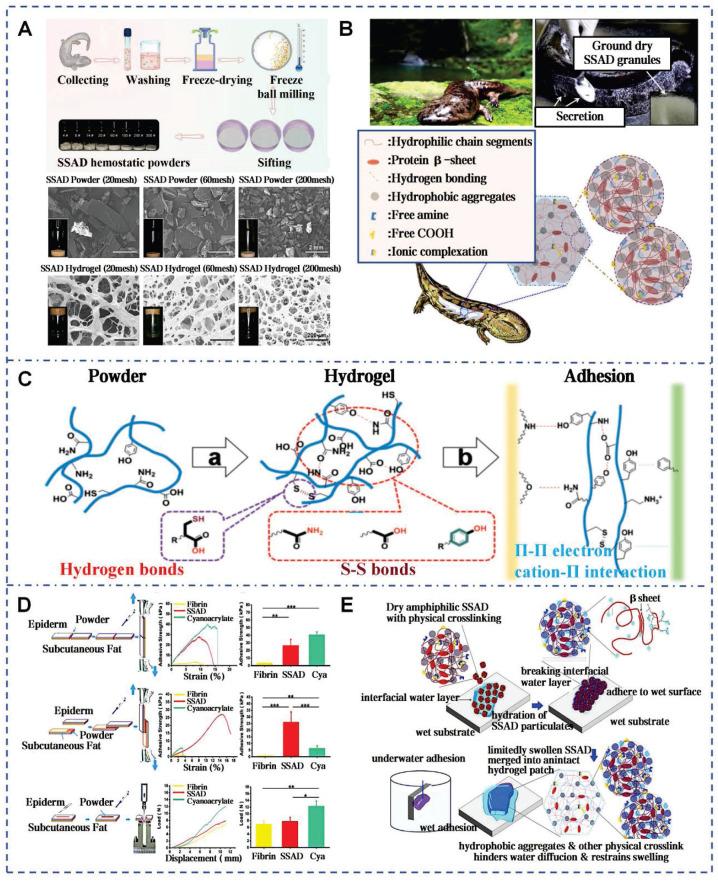 https://cdn.ncbi.nlm.nih.gov/pmc/blobs/6233/12374547/027229d022c4/thnov15p8068g004.jpg