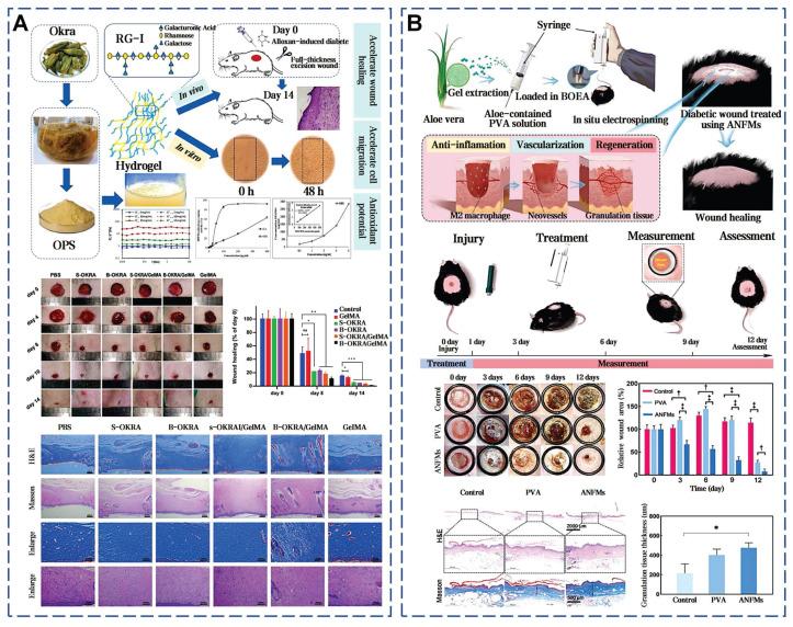 https://cdn.ncbi.nlm.nih.gov/pmc/blobs/6233/12374547/cf72e818edaf/thnov15p8068g012.jpg