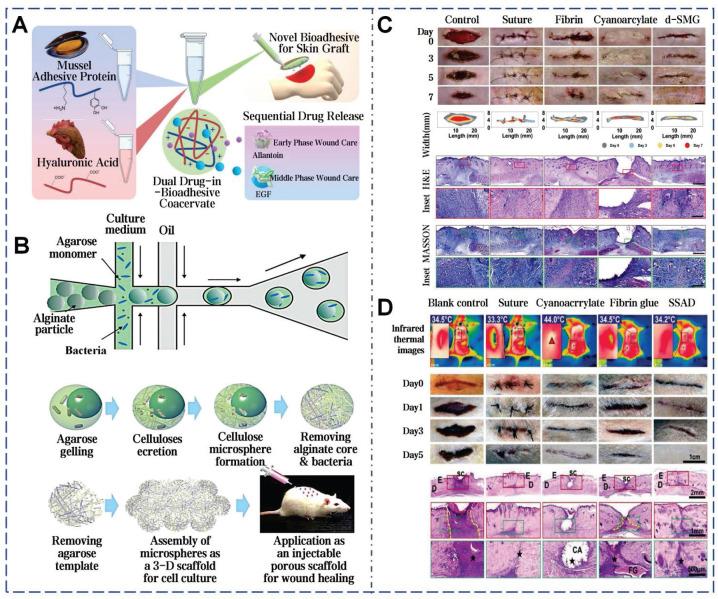 https://cdn.ncbi.nlm.nih.gov/pmc/blobs/6233/12374547/f58c1777f2a8/thnov15p8068g011.jpg