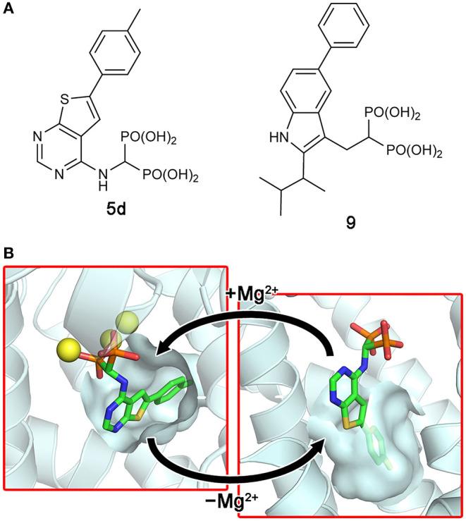 https://cdn.ncbi.nlm.nih.gov/pmc/blobs/623a/7815940/8a2a19f42bb0/fchem-08-612728-g0007.jpg
