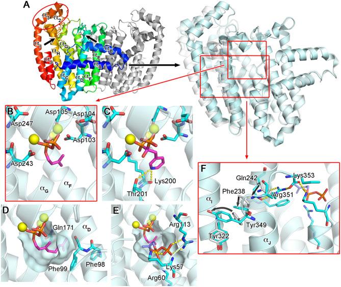https://cdn.ncbi.nlm.nih.gov/pmc/blobs/623a/7815940/d526c3647ee2/fchem-08-612728-g0003.jpg