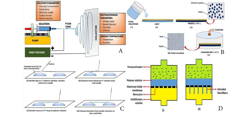 https://cdn.ncbi.nlm.nih.gov/pmc/blobs/623c/8046402/3e91168ae6aa/apb-11-248-g002.jpg