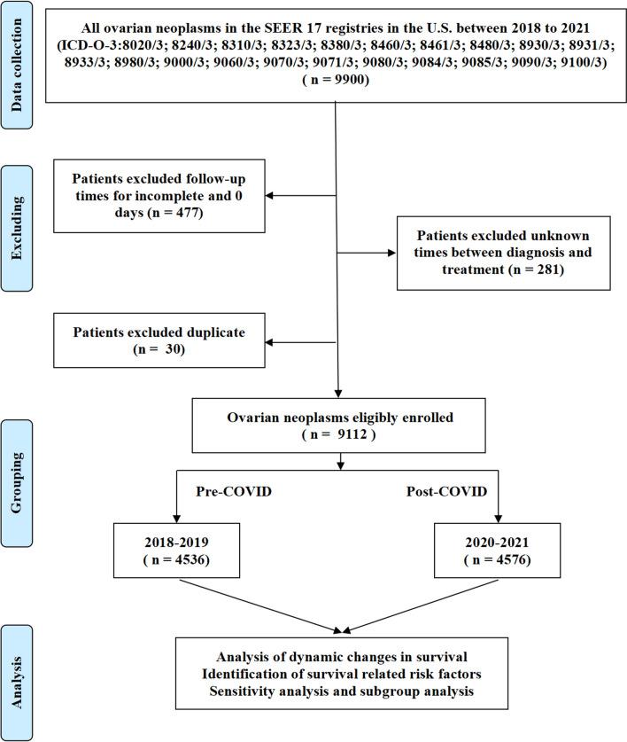 https://cdn.ncbi.nlm.nih.gov/pmc/blobs/623d/12006593/e15129428443/12672_2025_2205_Fig1_HTML.jpg