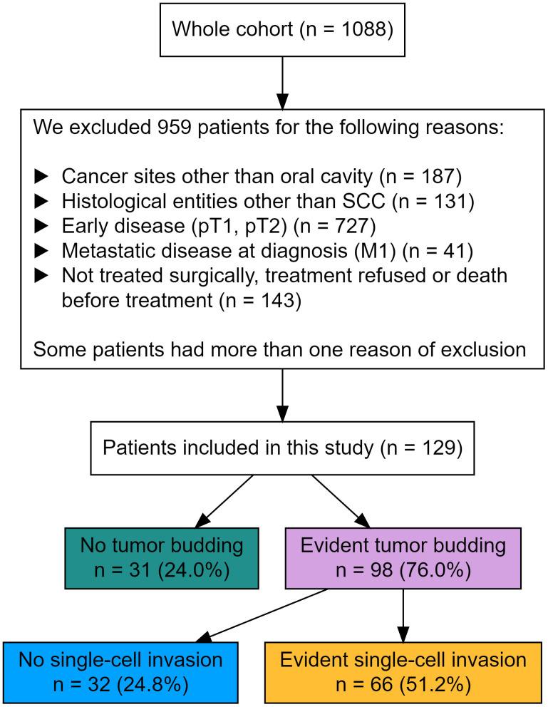 https://cdn.ncbi.nlm.nih.gov/pmc/blobs/623e/11089200/d0fb0b8c82c1/fonc-14-1404361-g001.jpg