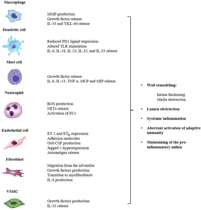 https://cdn.ncbi.nlm.nih.gov/pmc/blobs/623f/11285707/a660adaf9723/fmmed-02-933161-g001.jpg