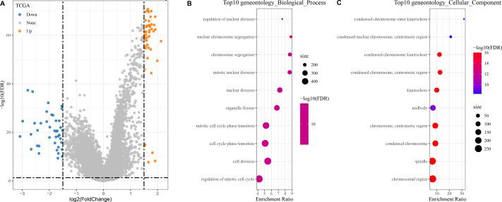 https://cdn.ncbi.nlm.nih.gov/pmc/blobs/6240/11830367/09988eeb081e/peerj-13-18945-g004.jpg